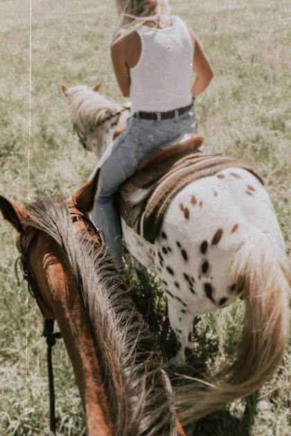 Equestrian Lifestyle: A Family Affair